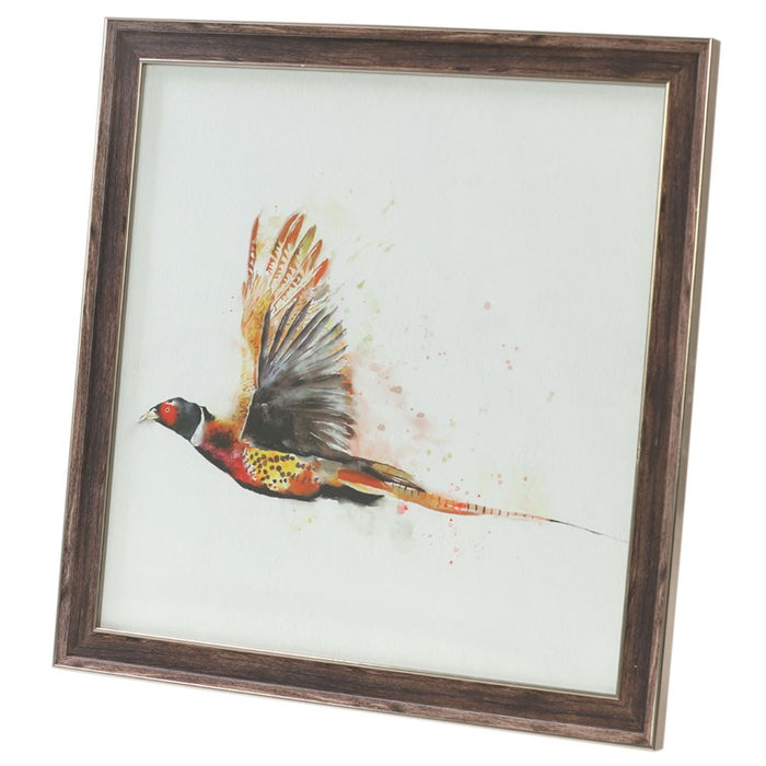 Woodland Flight Framed Pheasant Picture – 50x50cm