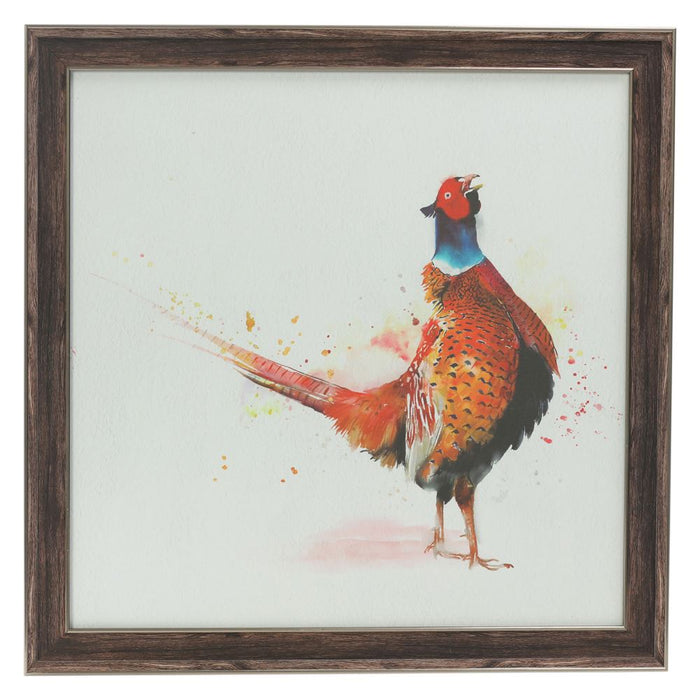 Country Heritage Standing Pheasant Framed Picture – 50x50cm