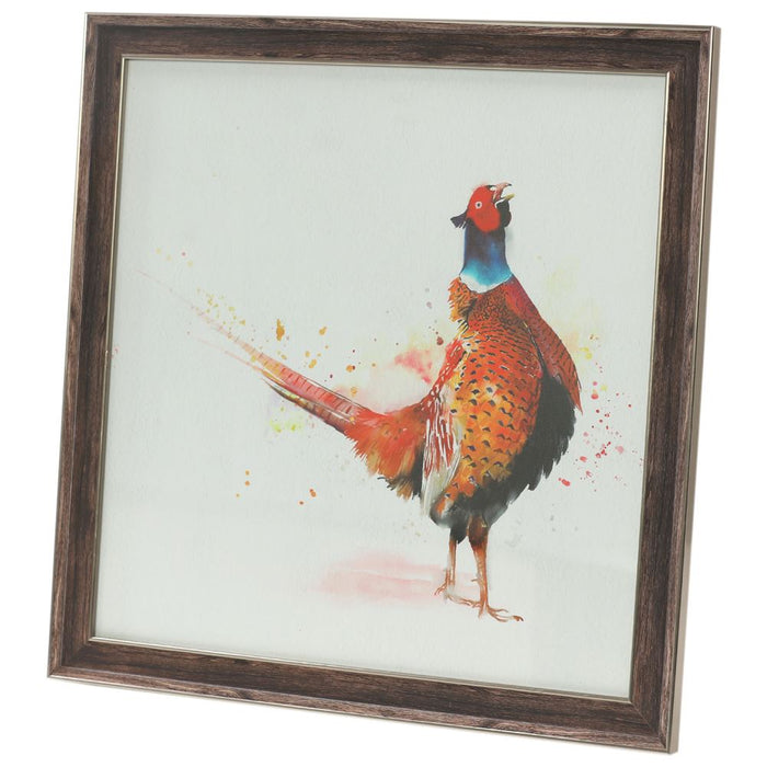 Country Heritage Standing Pheasant Framed Picture – 50x50cm