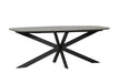 Sadia 1600 Oval Dining Table Smoke