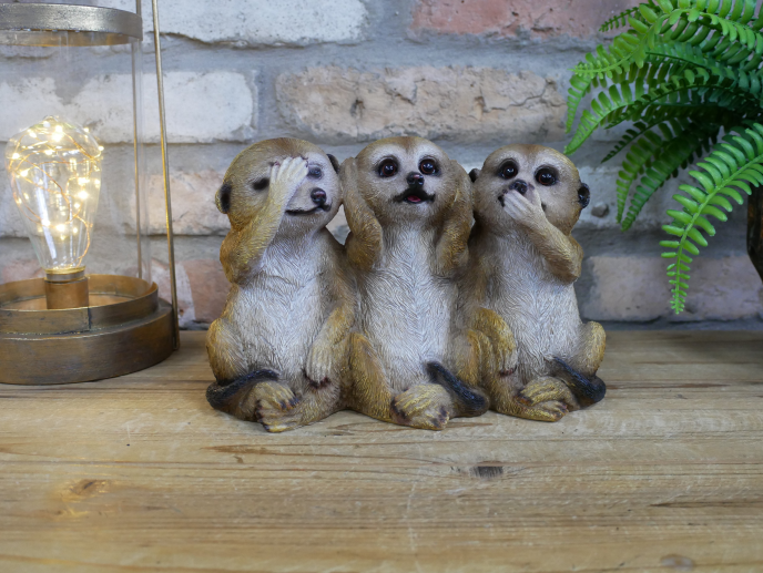 Three Wise Meerkats