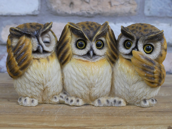 Three Wise Owls