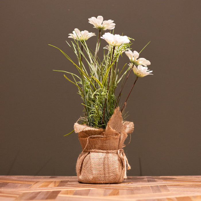 Wildflower in sack pot