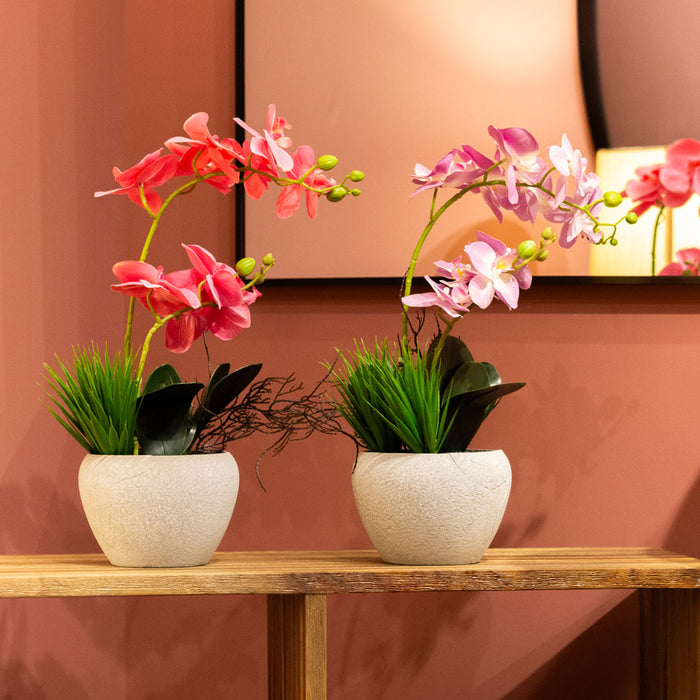 Potted orchid light purple/lavender