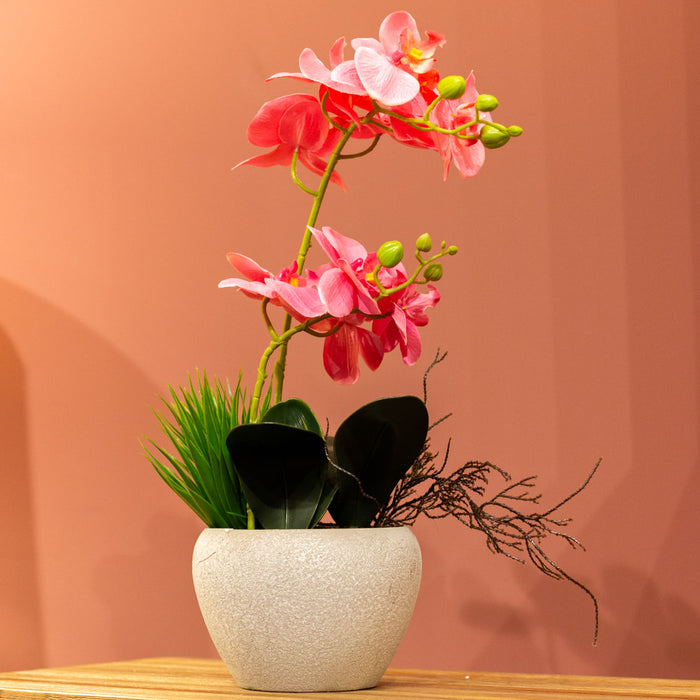 Potted orchid light purple/lavender