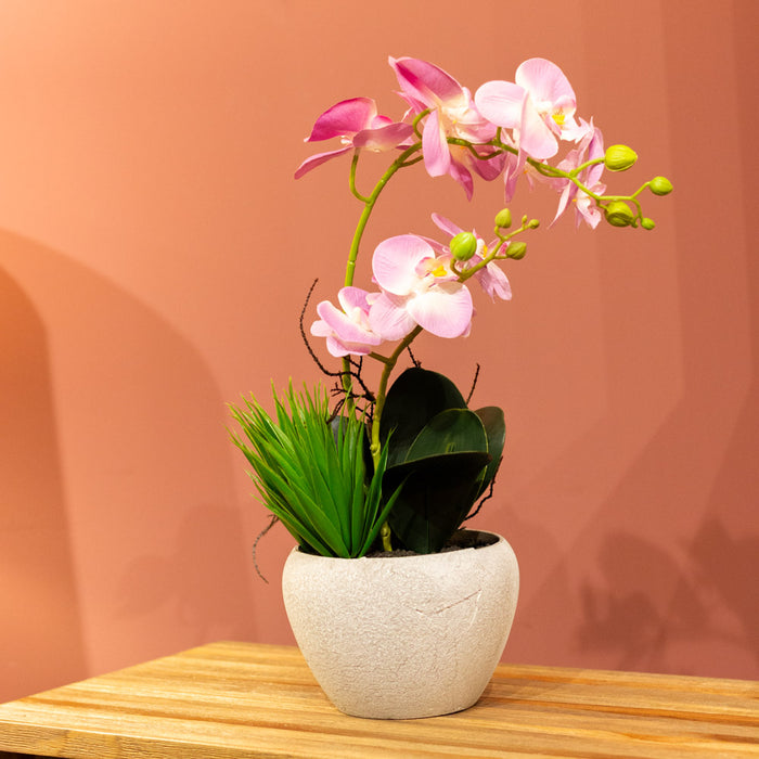 Potted orchid light purple/lavender