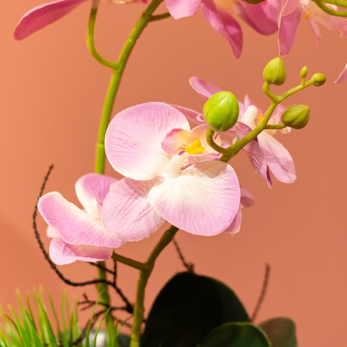 Potted orchid light purple/lavender
