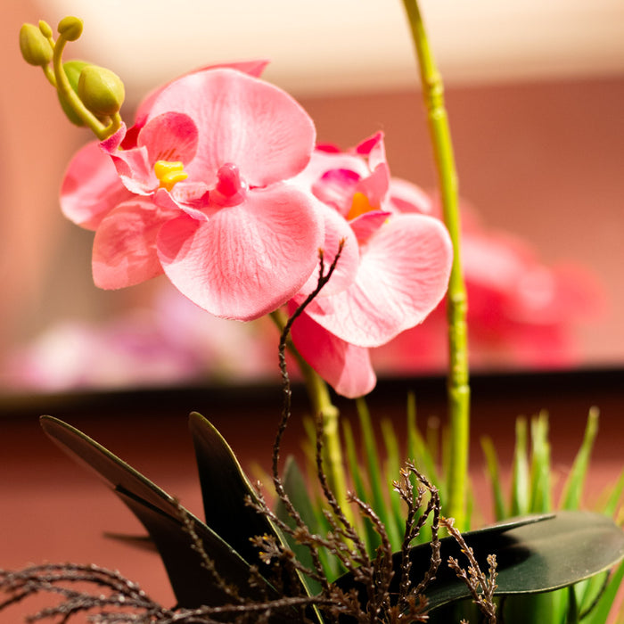 Potted orchid light purple/lavender