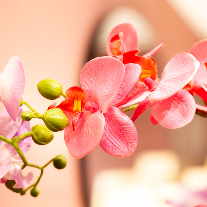 Potted orchid light purple/lavender