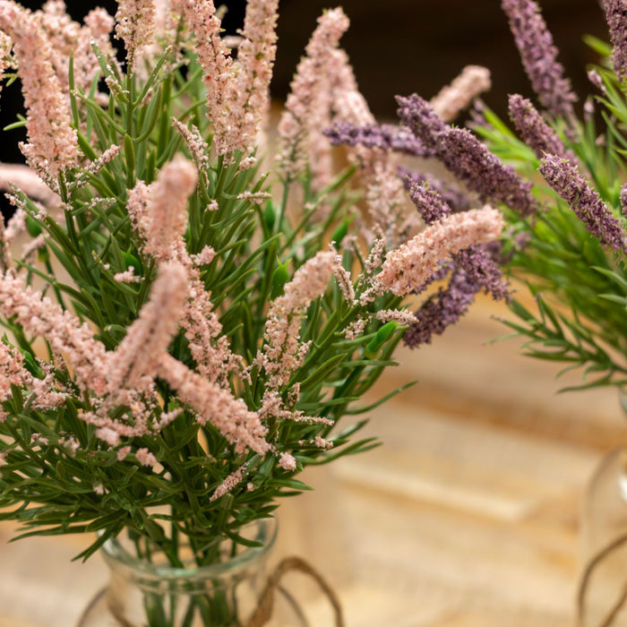 Lavender with vase assorted