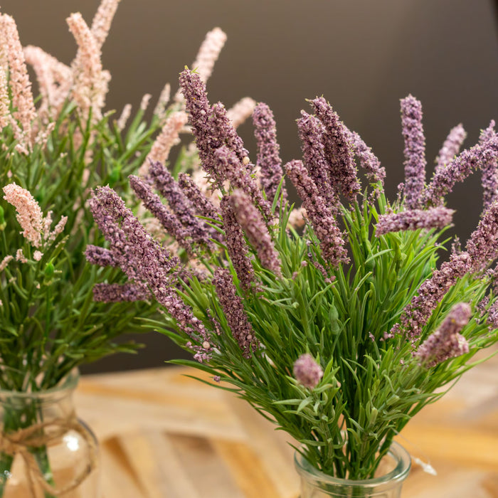 Lavender with vase assorted