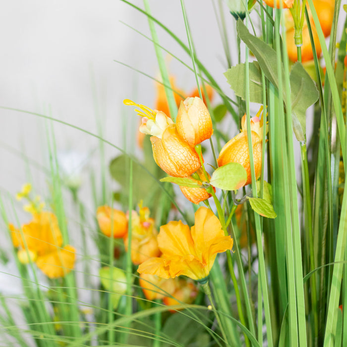 Wildflower daffodil bundle 70cm