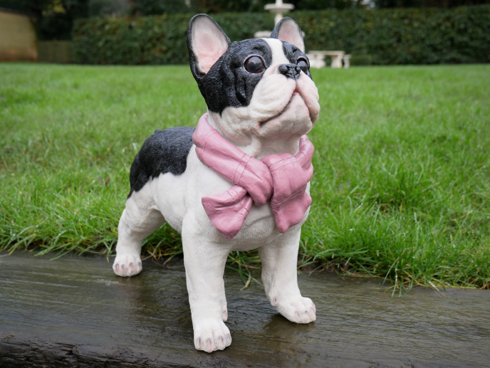 Posh pup with scarf