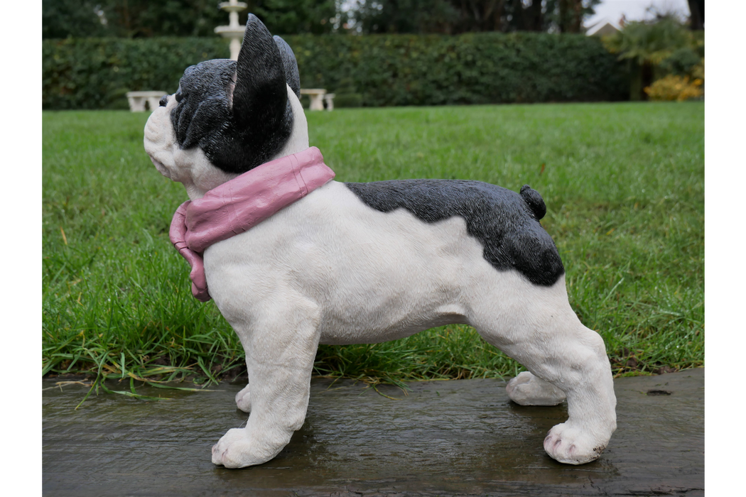 Posh pup with scarf