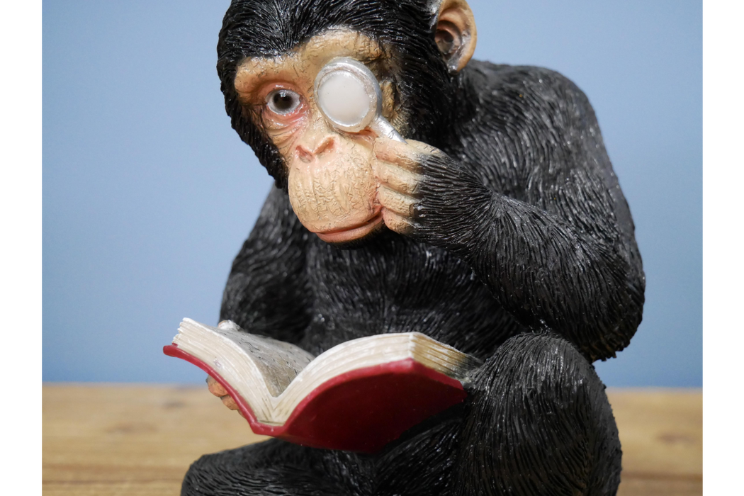 Monkey Book Ends - Curio