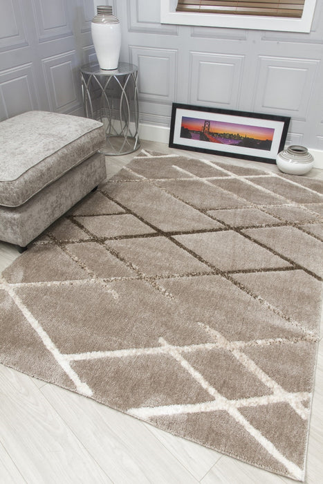 Taupe Modern Rug - Synergy Connex