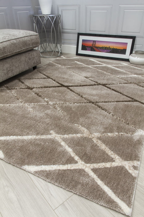 Taupe Modern Rug - Synergy Connex