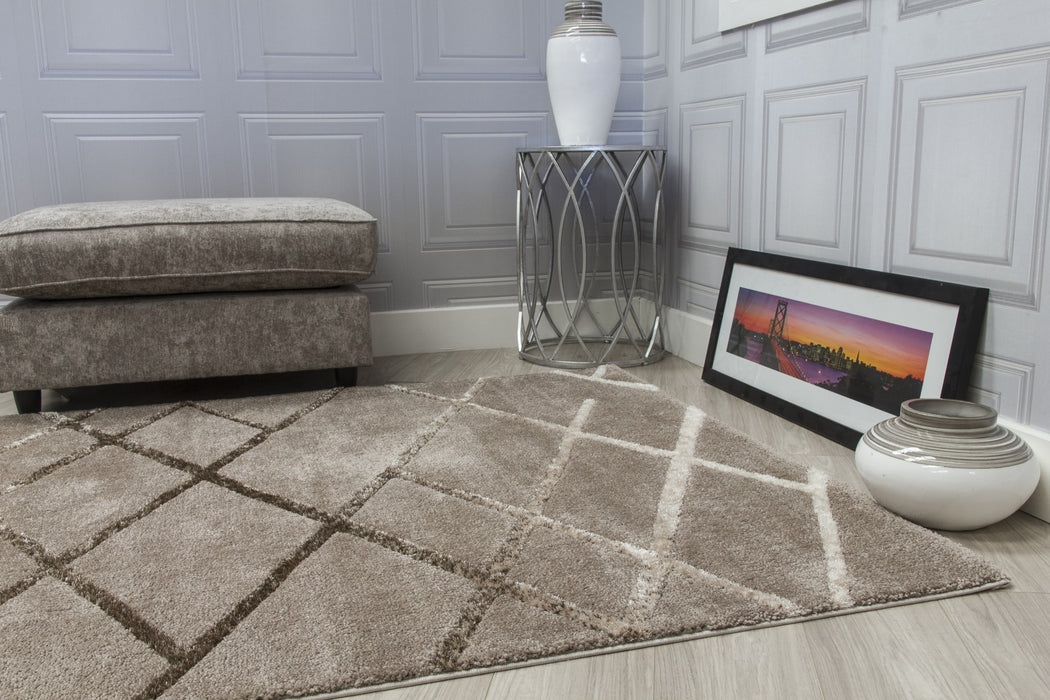 Taupe Modern Rug - Synergy Connex