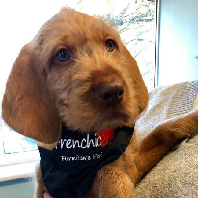 Bandana